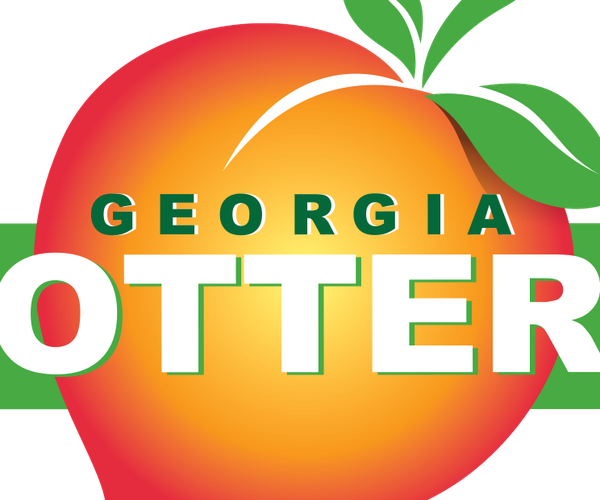 Georgia Lottery