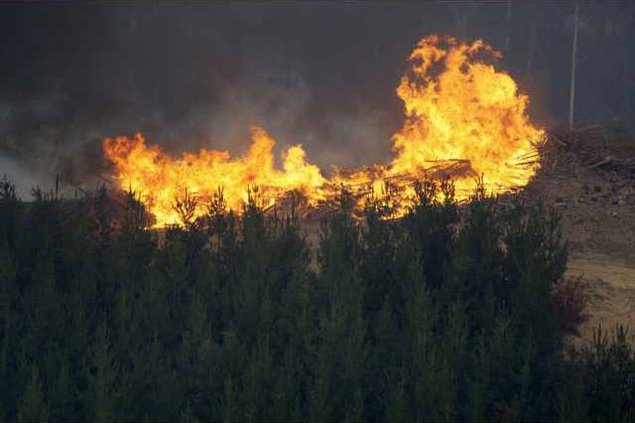 Australia Wildfires Heal