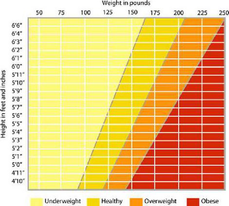 BMI Chart