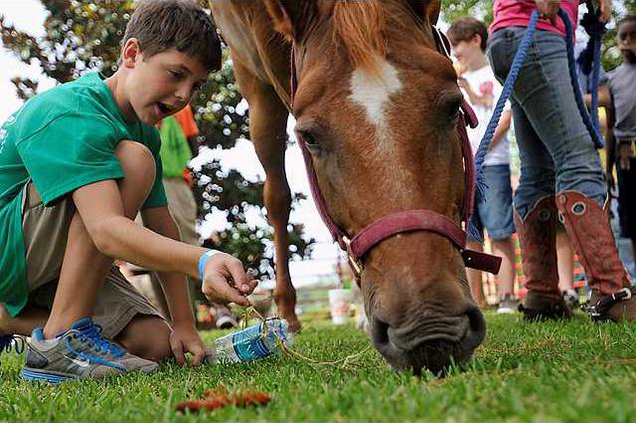 062411 FARM DAY 01 web