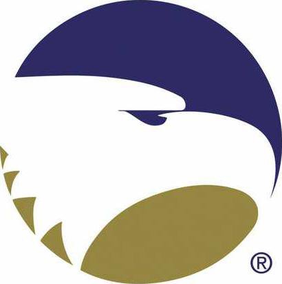 GSU logo W