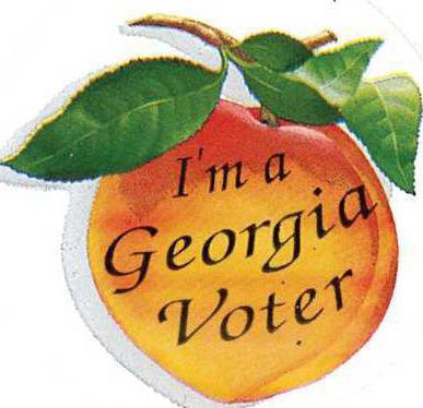 voter sticker