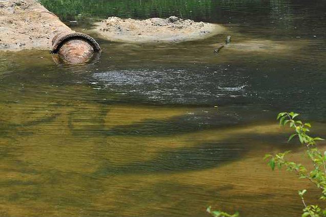 071611 OGEECHEE DISCHARGE 05 web