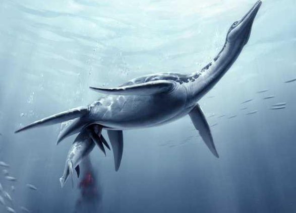 W Pregnant Plesiosaur Heal