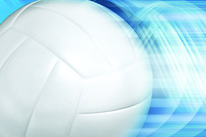 volleyball logo