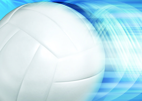 volleyball logo