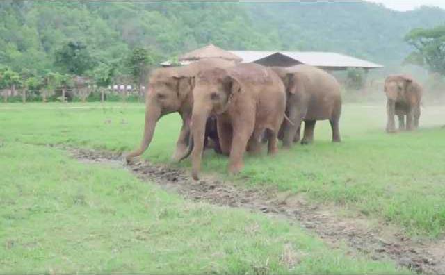 0571b6c4083d9fd89e6a160a1f20b3275760e1197e026b3967bdbd8108132135