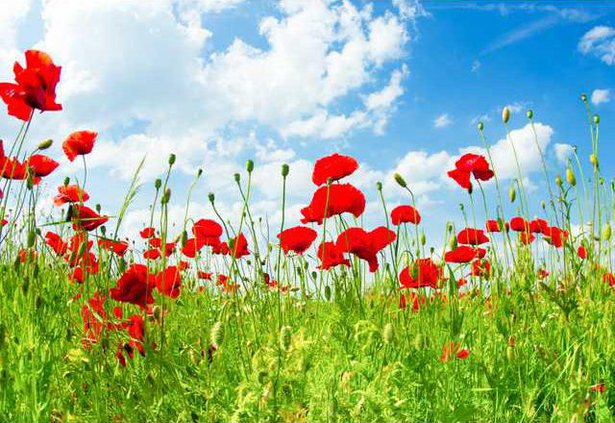 7dd5e5aa65421720e0ef37da50968a906798f494e7ae6a11d5db831475e94c78