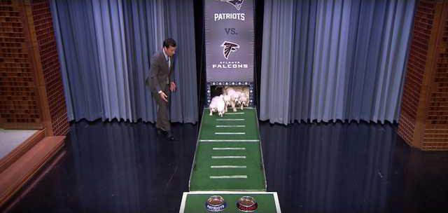 90fd9d7a12189bf403c5f3f5f86a3a3ea4600996259efb9bc343cab9175ef251