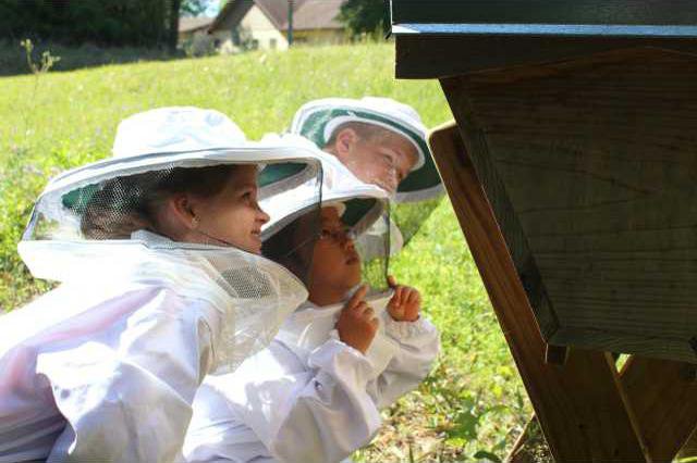 A sweet time for Effingham 4-H with Bee Club - Effingham Herald
