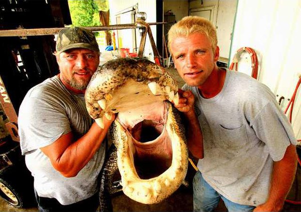 0305 Swamp People - Willie  Junior