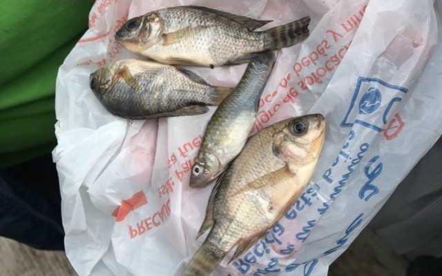 212995d947eab468271eb5f92c7f9c194344fb0dabc6bf2d50454f32da06e4d9