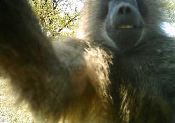 42c87d375c60e6b2460c4ea9c2b4058d479d86c1c305cf725b99166a86e6cc52