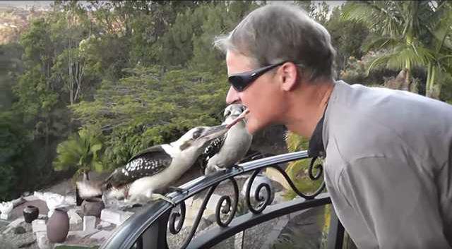 74e0ffdcae9c7fe4e0b3307d01b395a69d75e455a68f32dc04604632c3389161