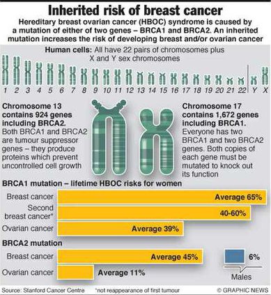 Inherited risk of breast cancer