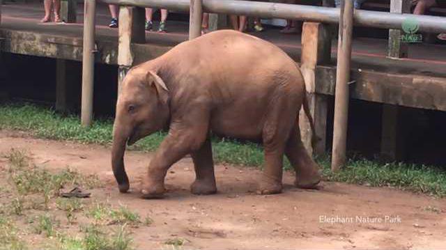 a96623814a1d703acb8afcc19f00afc3ae3bed8ddc7c9a75010f0e556d8ead99