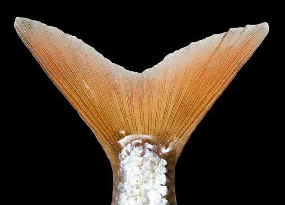 accf72912cc5e1dbaa3b560f48f5f559e84e64a5a7b02e807873d77987115195