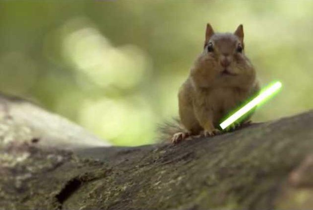 afd6199de7d06daeafa58ae5793856cd4d5d4c98ebacd61feb31a9f2cac3014b