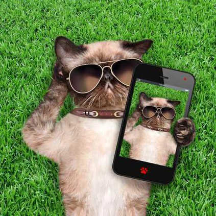 c2a3903e605f1f532909d6ef9d5154b8062523d538e93cd7a1b9d3fec6937bdb