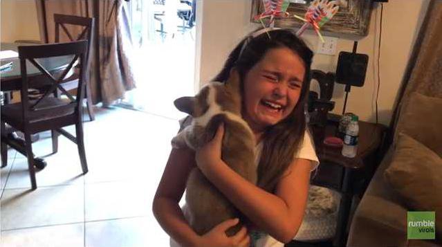 d8b858ff52607da4dfcae767cc8055998fb94c5c5ff6261f3ed6060ac1119784