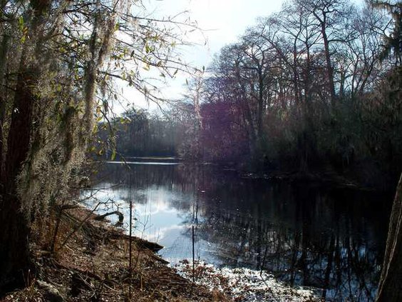 ebenezer creek