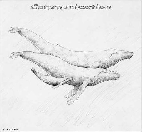 00f6d9c30d2fc34ba47d8292cadbd8e885b17462c08311cc256d43fe6e7cd2df