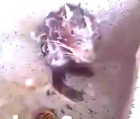 b9a81832b439686de8560dbf47a2d21d670f6897ea25e75b6c309040011833c0