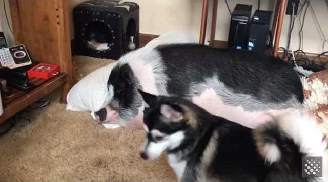 f675741f6885eadef86432a1dd837febb1216ccfba63e65bfb0e10c4e05ef88e