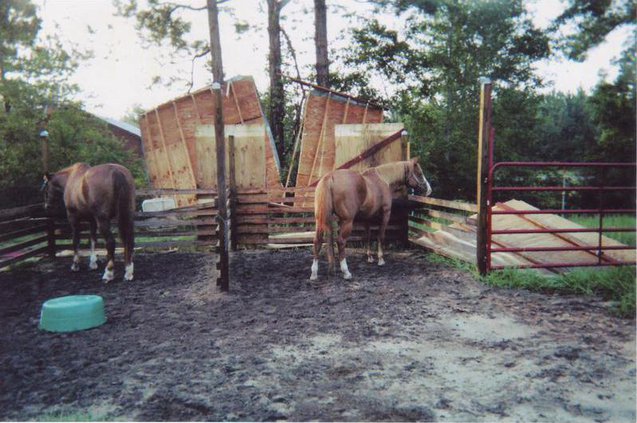 IMAGE0001