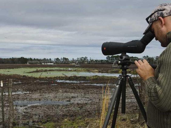 W 021213 BIRDERS 01