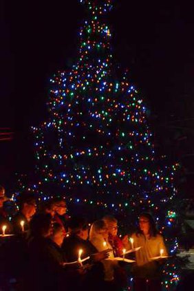 choir and tree 1