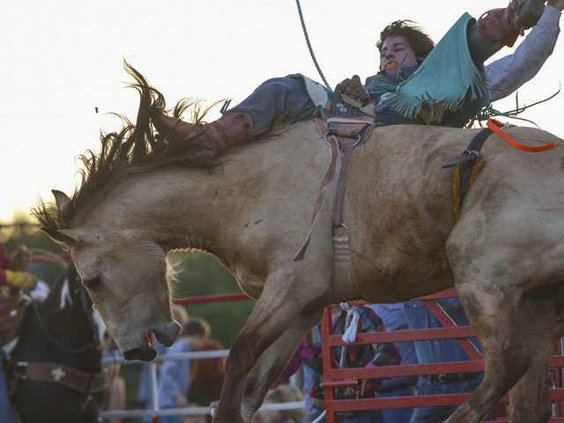 W Kiwanis rodeo file