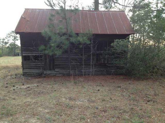 Bennett Grove -long view