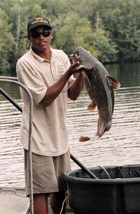 Shocking Catfish FL 6900931