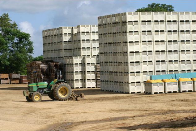 Tractoronion containers