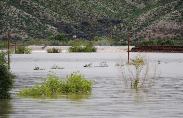 Border Flood DN101 5990369