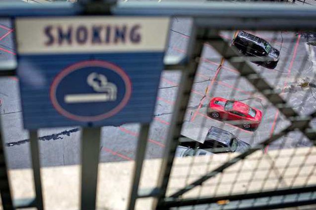 Turner Field Fall Ledb