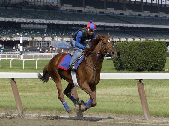 W Belmont Stakes Horse  Heal