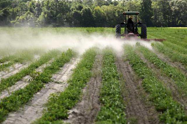 071514 PEANUT FIELD DAY 01