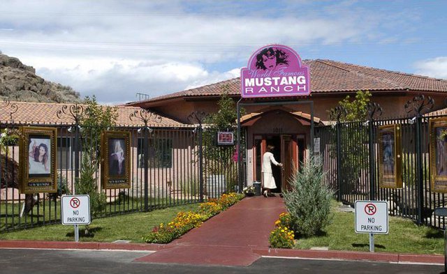 Mustang Ranch Line Up – Telegraph