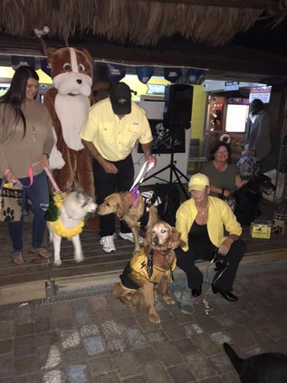 2018 large dog winners.jpg