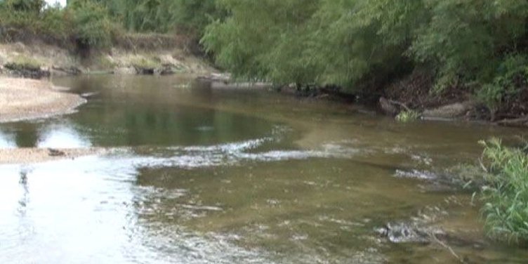 First 'fish trap' set up on Ogeechee at Great Lott's Creek - Statesboro