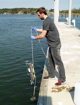 Oysters Algae 1.jpg