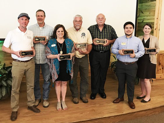 DSDA Brick Awards Web.jpg