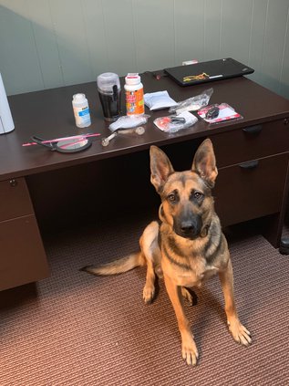 K9 Pike