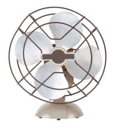 fan