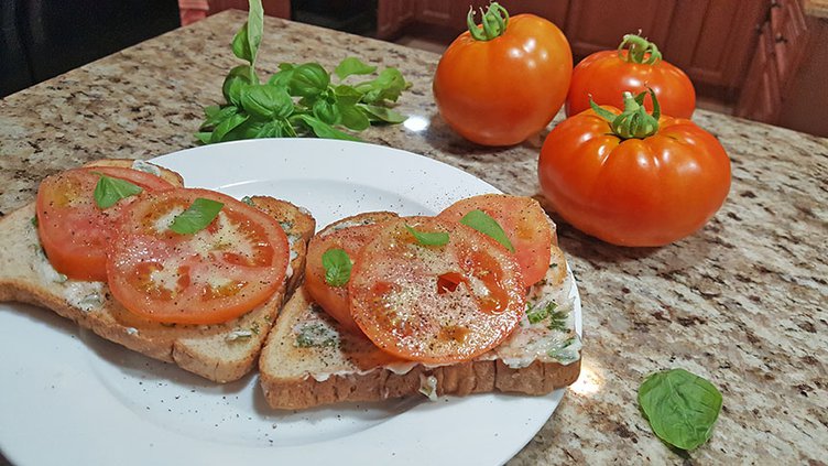 tomato sammich