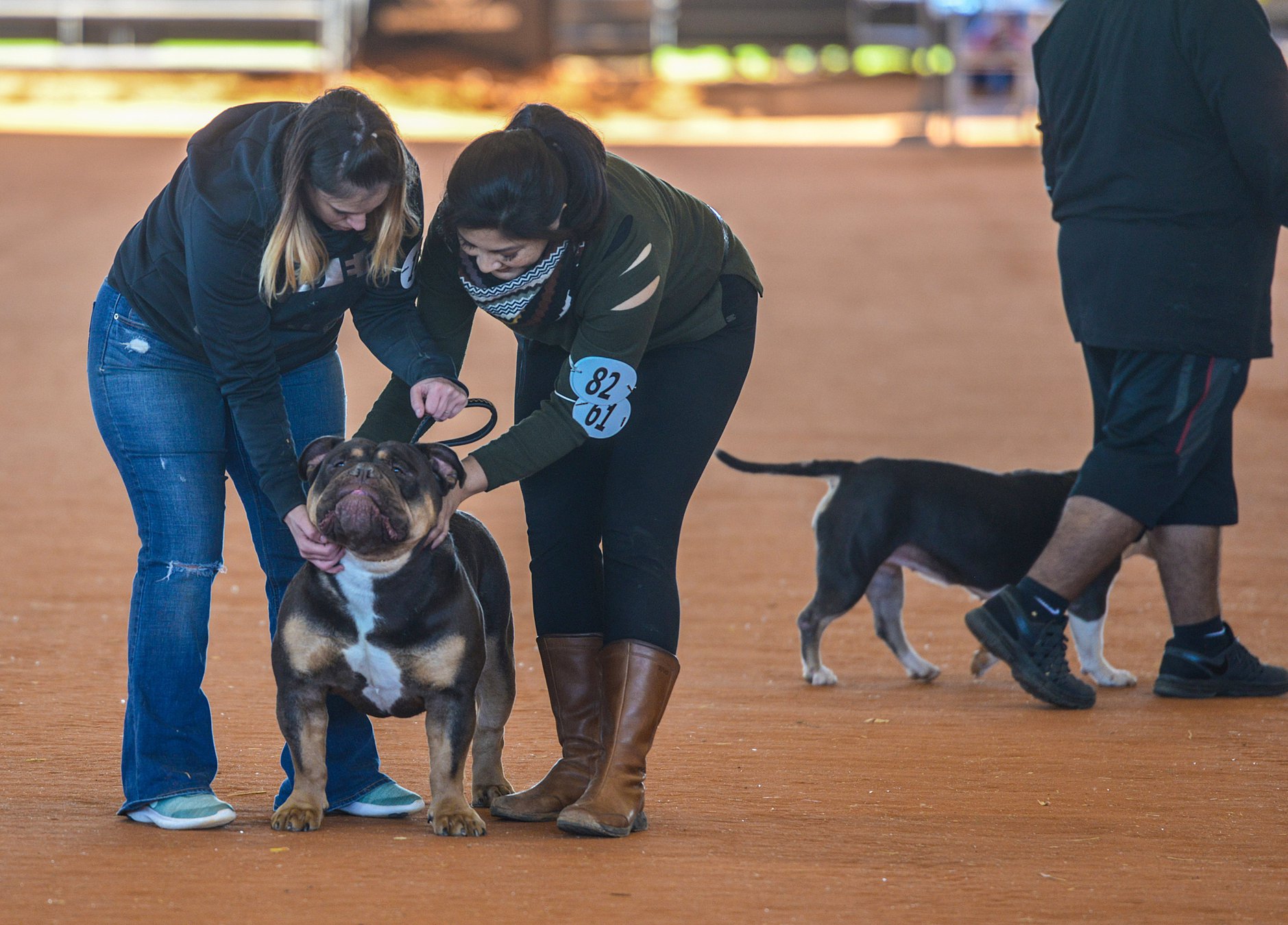 'Bullies' win hearts at first Boro dog show Statesboro Herald