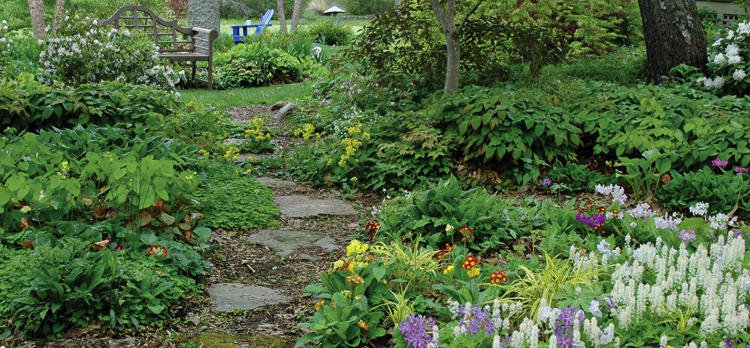 primrose path