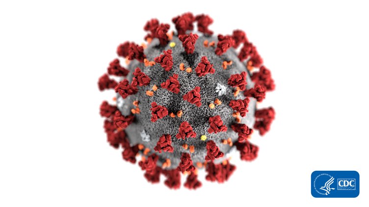coronavirus